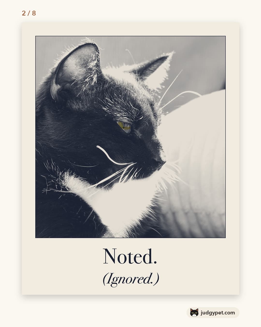 Noted. (Ignored.) Judgy Pet print design
