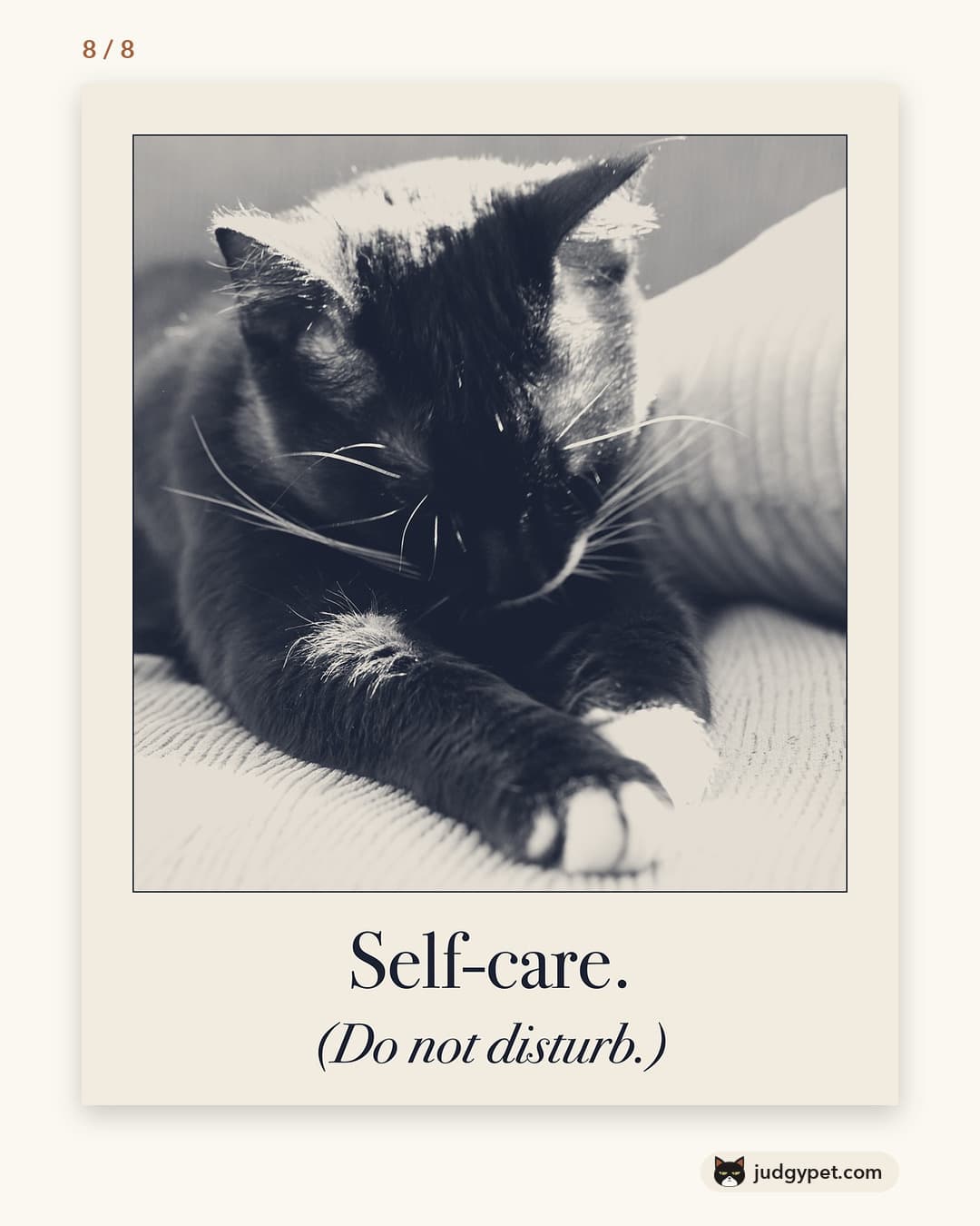 Self-care. (Do not disturb.) Judgy Pet print design