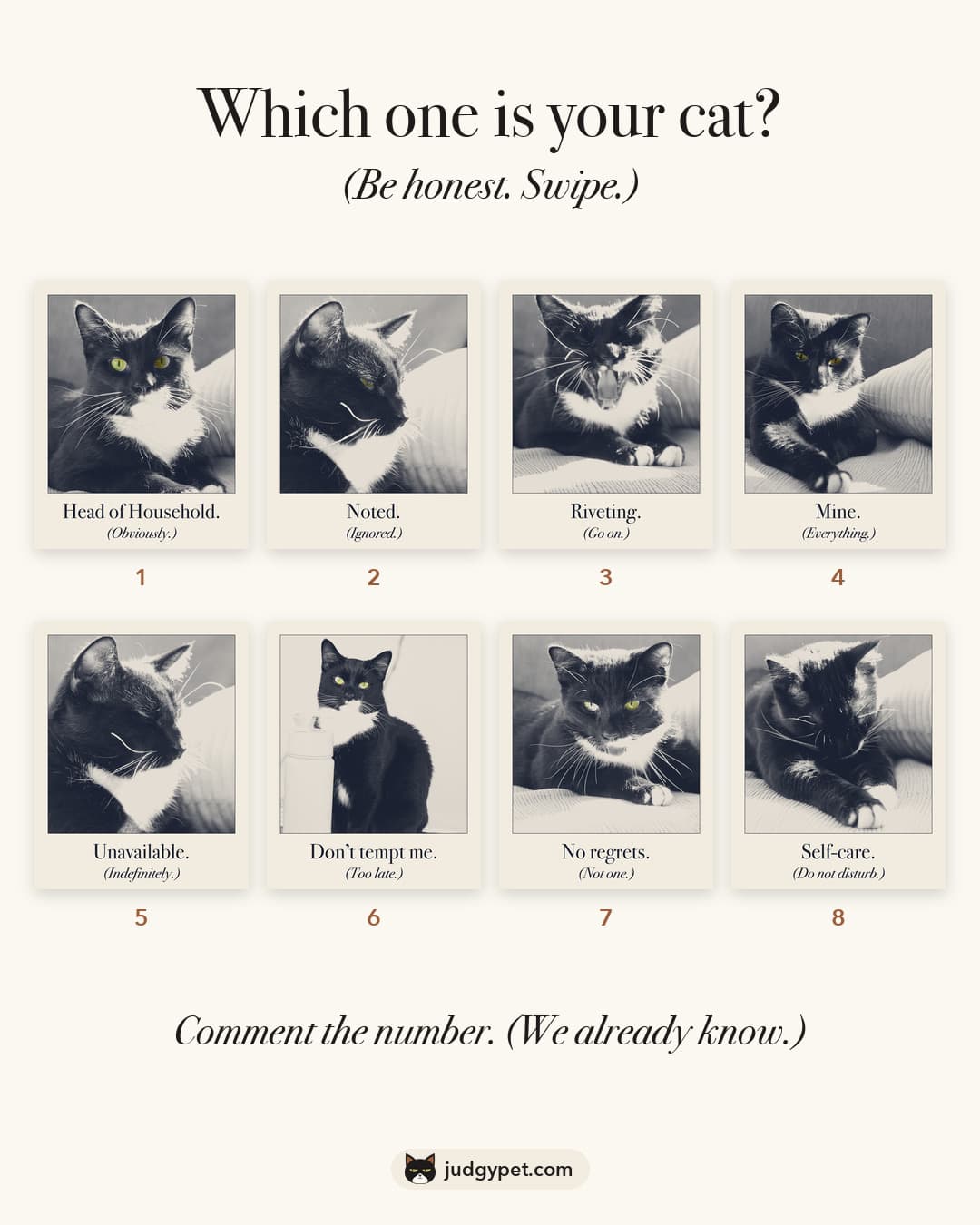 Which one is your cat? Eight Judgy Pet designs on one card