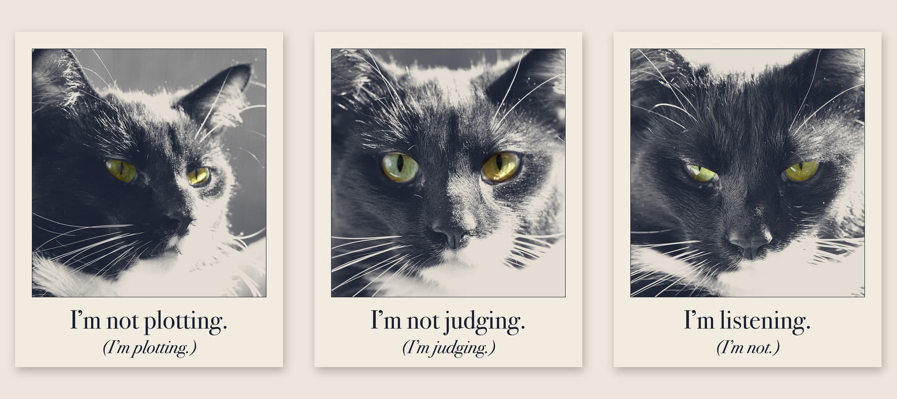 I'm not plotting. I'm not judging. I'm listening. Three separate Judgy Pet prints side by side