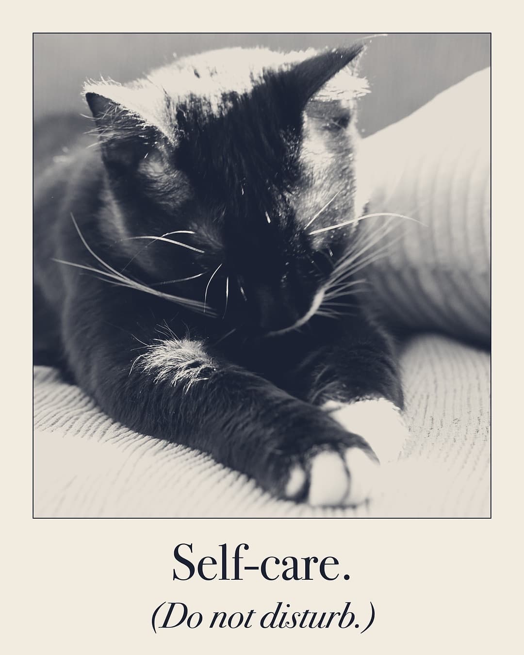 Self-care. (Do not disturb.) Cat print by Judgy Pet